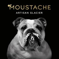 Glaces Moustache-artisan Glacier