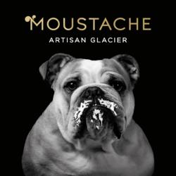 Glaces Moustache-artisan Glacier