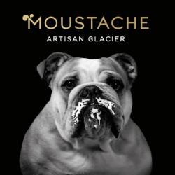 Glaces Moustache-artisan Glacier
