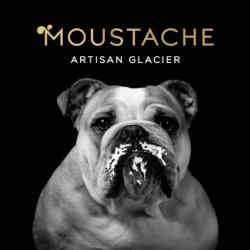 Glaces Moustache-artisan Glacier
