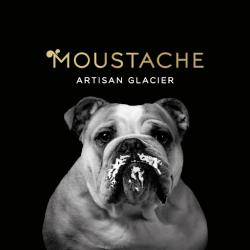 Glaces Moustache-artisan Glacier