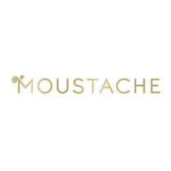 Glaces Moustache-artisan Glacier