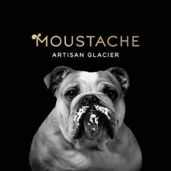 Glaces Moustache-artisan Glacier