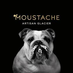 Glaces Moustache-artisan Glacier