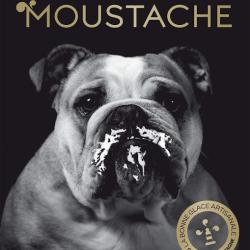 Glaces Moustache-artisan Glacier