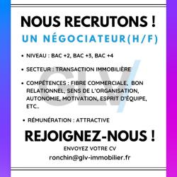 Glv Immobilier Ronchin