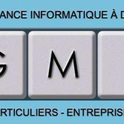 Gmi