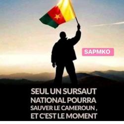 Go Africa International