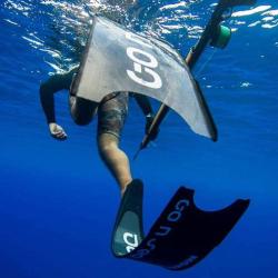 Go N Sea