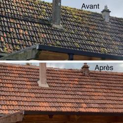 Go Rénovation