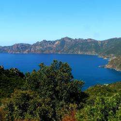 Golfe De Girolata