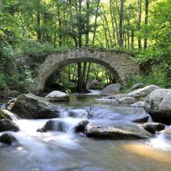 Gorges De La Monne
