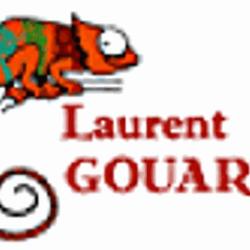 Monsieur Gouard Laurent