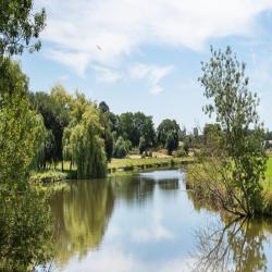 Cotè Immobilier
