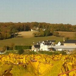 Domaine Gouron