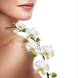 Grain De Beaute