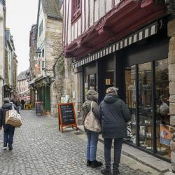 Graines De Céramique