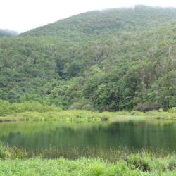 Grand Etang De Saint Sauveur