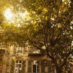 Grand Hôtel Nord-pinus