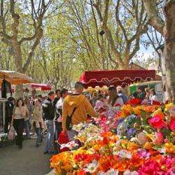 Grand Marché Du Dimanche