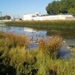 Grand Parc Des Docks