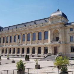 Grande Galerie De L'évolution