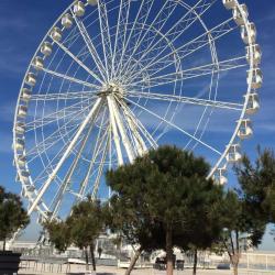 Grande Roue De Marseille