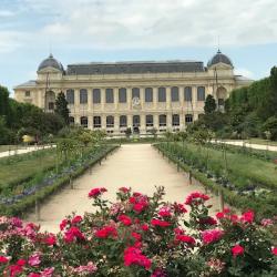 Grandes Serres Du Jardin Des Plantes