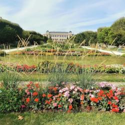 Grandes Serres Du Jardin Des Plantes