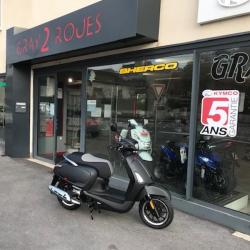 Gray 2 Roues