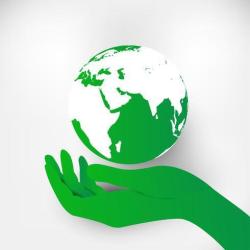 Green 13 Services