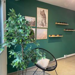 Green Dream Cbd Yvetot