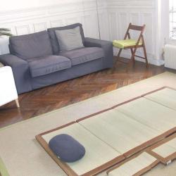 Grenouille Zen