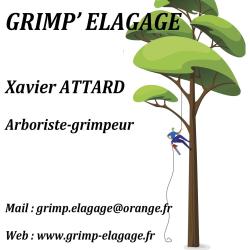 Grimp'elagage (chrysalide)