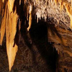 Grotte De La Devèze