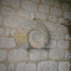 Grottes De Matata