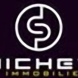 Groupe Pichet