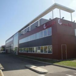 Groupe Rg - Siège Social