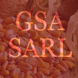 Gsa