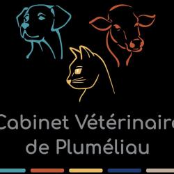 Gsab - Cabinet Vétérinaire De Pluméliau