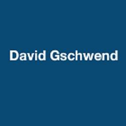 Gschwend David