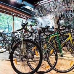Gt Bicloune Distributeur