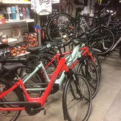 Guedard Cycles