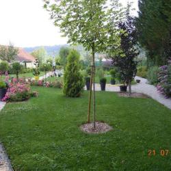 Guenat Paysages