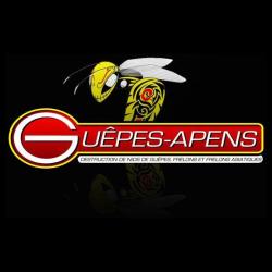 Guêpes-apens