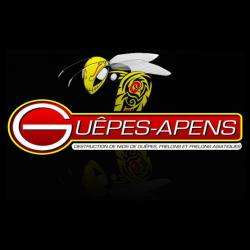 Guêpes-apens