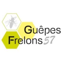 Guêpes Frelons57
