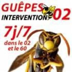 Guêpes Intervention