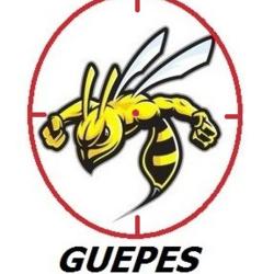 Guerin Désinsectisation Guêpes Frelons