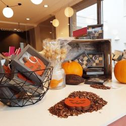 Chocolaterie Vincent Guerlais